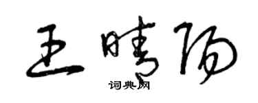 曾慶福王晴陽草書個性簽名怎么寫