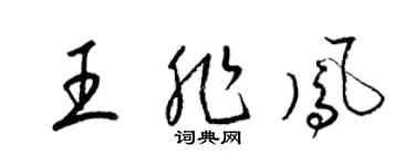 梁錦英王非鳳草書個性簽名怎么寫