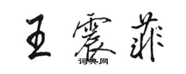 駱恆光王震菲行書個性簽名怎么寫