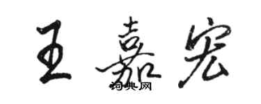 駱恆光王嘉宏行書個性簽名怎么寫
