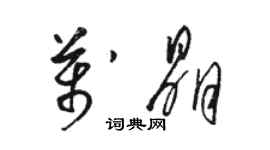 駱恆光萬晶草書個性簽名怎么寫