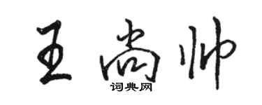 駱恆光王尚帥行書個性簽名怎么寫