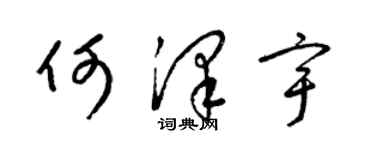 梁錦英何澤宇草書個性簽名怎么寫