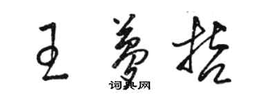 駱恆光王夢哲草書個性簽名怎么寫