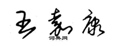 朱錫榮王嘉康草書個性簽名怎么寫