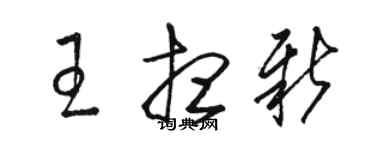 駱恆光王想新草書個性簽名怎么寫