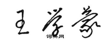 駱恆光王學蒙草書個性簽名怎么寫