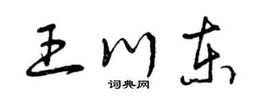 曾慶福王川東草書個性簽名怎么寫