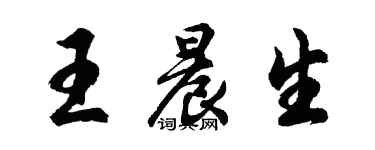 胡問遂王晨生行書個性簽名怎么寫