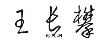 駱恆光王長攀草書個性簽名怎么寫