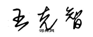 朱錫榮王克智草書個性簽名怎么寫