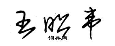 朱錫榮王昭韋草書個性簽名怎么寫