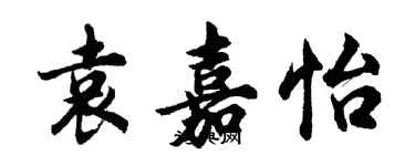 胡問遂袁嘉怡行書個性簽名怎么寫