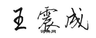 駱恆光王震成行書個性簽名怎么寫