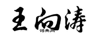 胡問遂王向濤行書個性簽名怎么寫