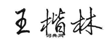 駱恆光王楷林行書個性簽名怎么寫
