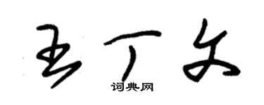 朱錫榮王丁文草書個性簽名怎么寫