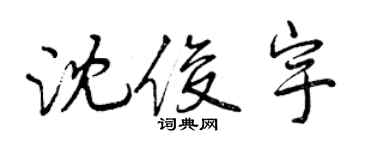曾慶福沈俊宇行書個性簽名怎么寫