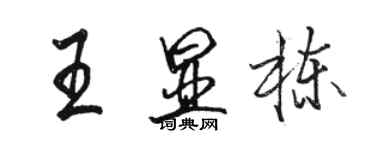 駱恆光王顯棟行書個性簽名怎么寫