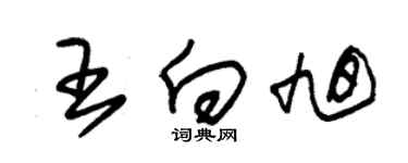 朱錫榮王向旭草書個性簽名怎么寫