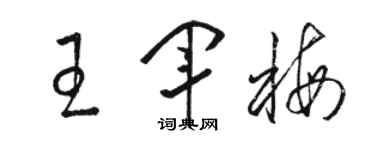 駱恆光王軍梅草書個性簽名怎么寫