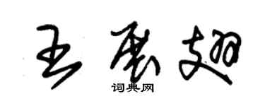 朱錫榮王展翅草書個性簽名怎么寫