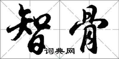 胡問遂智骨行書怎么寫