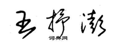 朱錫榮王抒澎草書個性簽名怎么寫