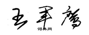 朱錫榮王軍鷹草書個性簽名怎么寫