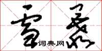 劉少英雪暴草書怎么寫