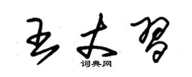 朱錫榮王丈習草書個性簽名怎么寫