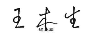 駱恆光王木生草書個性簽名怎么寫