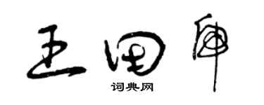 曾慶福王田虎草書個性簽名怎么寫