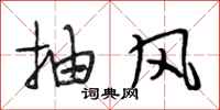 段相林抽風行書怎么寫