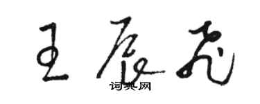 駱恆光王辰飛草書個性簽名怎么寫