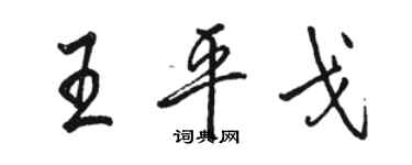 駱恆光王平戈行書個性簽名怎么寫