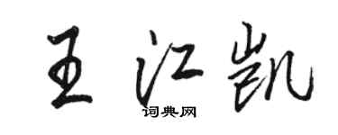 駱恆光王江凱行書個性簽名怎么寫