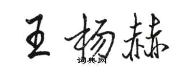 駱恆光王楊赫行書個性簽名怎么寫