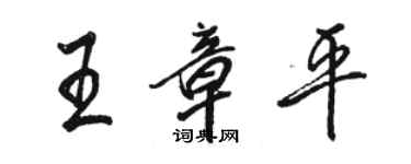 駱恆光王章平行書個性簽名怎么寫