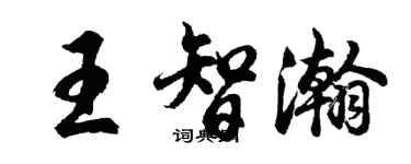 胡問遂王智瀚行書個性簽名怎么寫