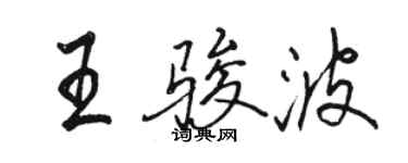 駱恆光王駿波行書個性簽名怎么寫