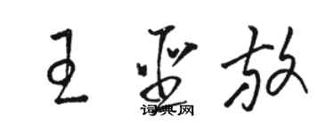 駱恆光王聖放草書個性簽名怎么寫