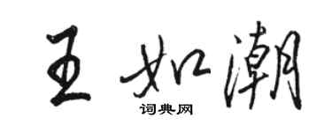 駱恆光王如潮行書個性簽名怎么寫