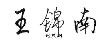 駱恆光王錦南行書個性簽名怎么寫