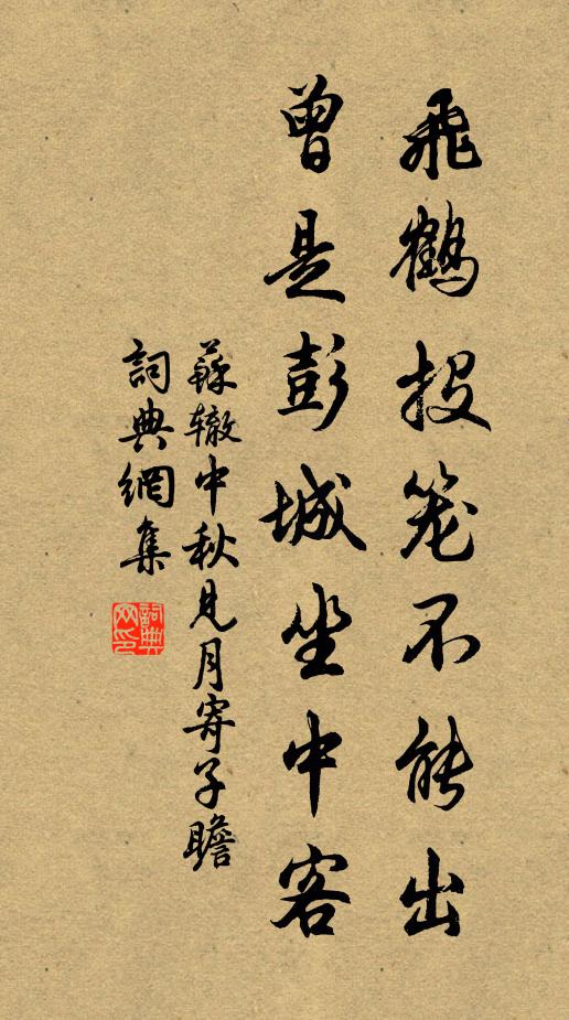 蘇轍飛鶴投籠不能出,曾是彭城坐中客書法作品欣賞