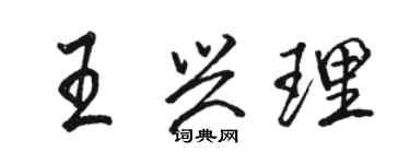 駱恆光王興理行書個性簽名怎么寫