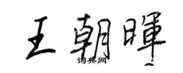 王正良王朝暉行書個性簽名怎么寫