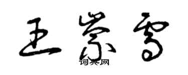 曾慶福王崇雪草書個性簽名怎么寫