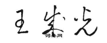 駱恆光王成光草書個性簽名怎么寫