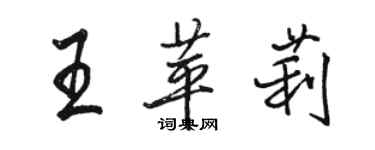 駱恆光王苹莉行書個性簽名怎么寫